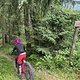 IMG 8699