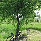 IMG 3620
