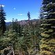 IMG 0654