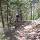 IMG 2671