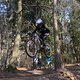 Bike Beerfelden P 375