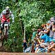 Steve Peat