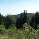 20110529 ctf silz 970.jpg 800x600