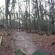 IMG 1195