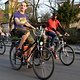 Critical Mass 1703 0380b