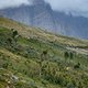 Riders on stage 5 of the 2021 Absa Cape Epic Mountain Bike stage race from CPUT Wellington to CPUT Wellington, South Africa on the 22nd October 2021

Photo by Kelvin Trautman/Cape Epic

PLEASE ENSURE THE APPROPRIATE CREDIT IS GIVEN TO THE PHOTOGRAPHE