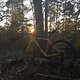So muss die Winter Radsaison losgehen: After Work Ride mit Sonnenuntergang und lauen Temperaturen. Schätze so wirds nicht weitergehen. Frontstrahler wird schon geladen...