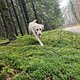Wanderung