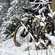 Mountainbike-Fahrt am Morgen
