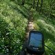 Blümchentrail