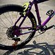 mongoose surly mullet