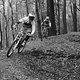IMG 7188