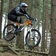 original Mountain-Biker2013-10-0613-51-33