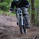 DSC03555