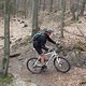 DSCF3210