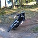 IMG 4132
