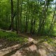 Gratis Wurzeltrail