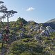 IMG 20250501 183218
