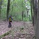 IMG 3456
