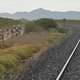 parallel zu einer Bahnstrecke führen die ersten Meter noch durch die Ebene - Cape Epic 2014 Prolog - Foto von  Greg Beadle-Cape Epic-SPORTZPICS