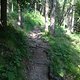 IMG 0368