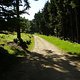 Trail zum Hirschenstein