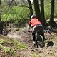 IMG 0584