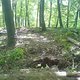 DSC01820