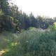 IMG 20150822 112045