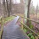 IMG 20151129 124108