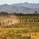 Riders during stage 3 of the 2021 Absa Cape Epic Mountain Bike stage race from Saronsberg to Saronsberg, Tulbagh, South Africa on the 20th October 2021

Photo by Sam Clark/Cape Epic

PLEASE ENSURE THE APPROPRIATE CREDIT IS GIVEN TO THE PHOTOGRAPHER A