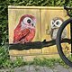 IMG 9158