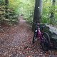 zum See hoch
