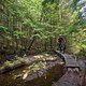 BC Squamish - Entrails