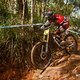 worldcup cairns 1818