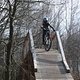 IMG 7232