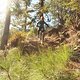 teneriffa 12 2