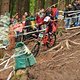 IMG 0642