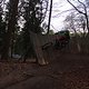 IMG 1279