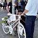 Critical Mass 1705 4037b