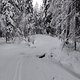 Winterpokal-Aktivität