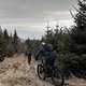 IMG 7338