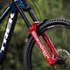 Trek-Sasha-Earnest-4022
