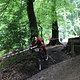 IMG 5217