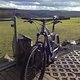 Ibis Mojo SLR