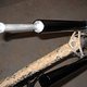 IMG 1831