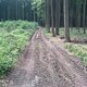 DSC00241
