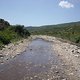 DSCN0970