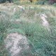 DSC00263