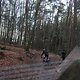 IMG 1258